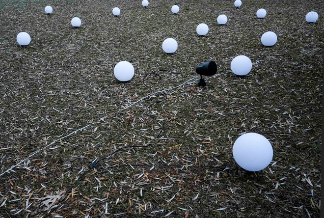 The glowing snow balls when lit change based on the music that is playing Tuesday, Dec. 5, 2023, at the Milwaukee County Zoo. Ebony Cox / Milwaukee Journal Sentinel